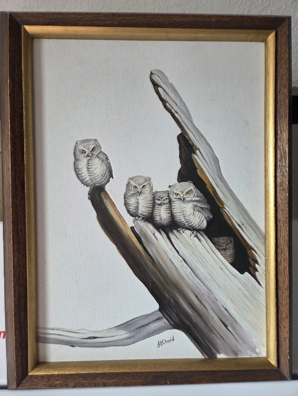 Screech Owl Painting - Original on Canvas